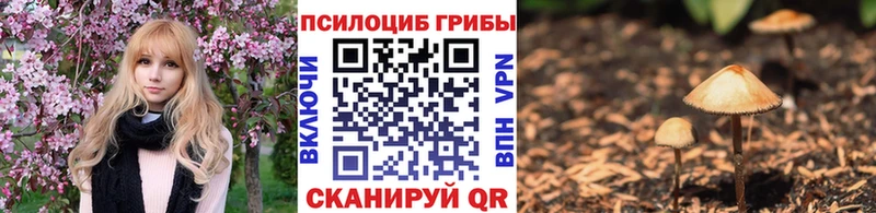 Псилоцибиновые грибы прущие грибы  наркошоп  Солнечногорск 